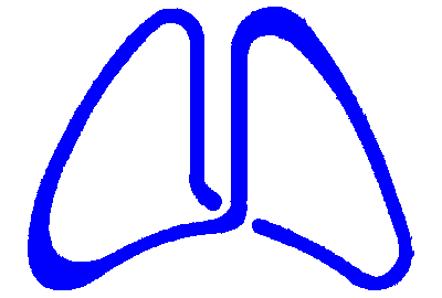 Логотип ФГБУ НИИ пульмонологии ФМБА России